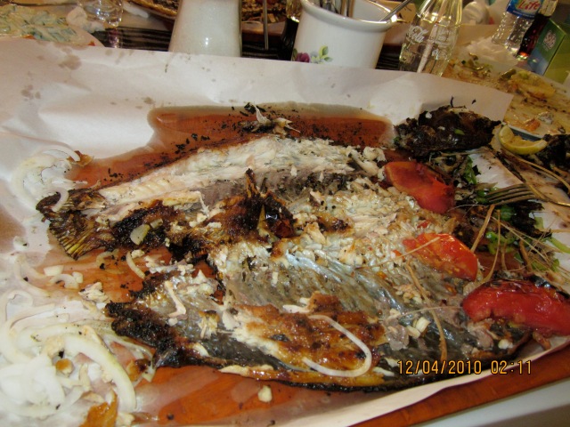 "After" shot of fish